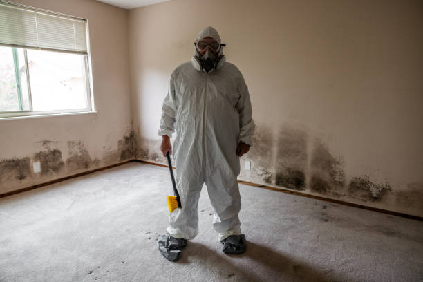 Best Certified Mold Removal  in Whitehall, OH